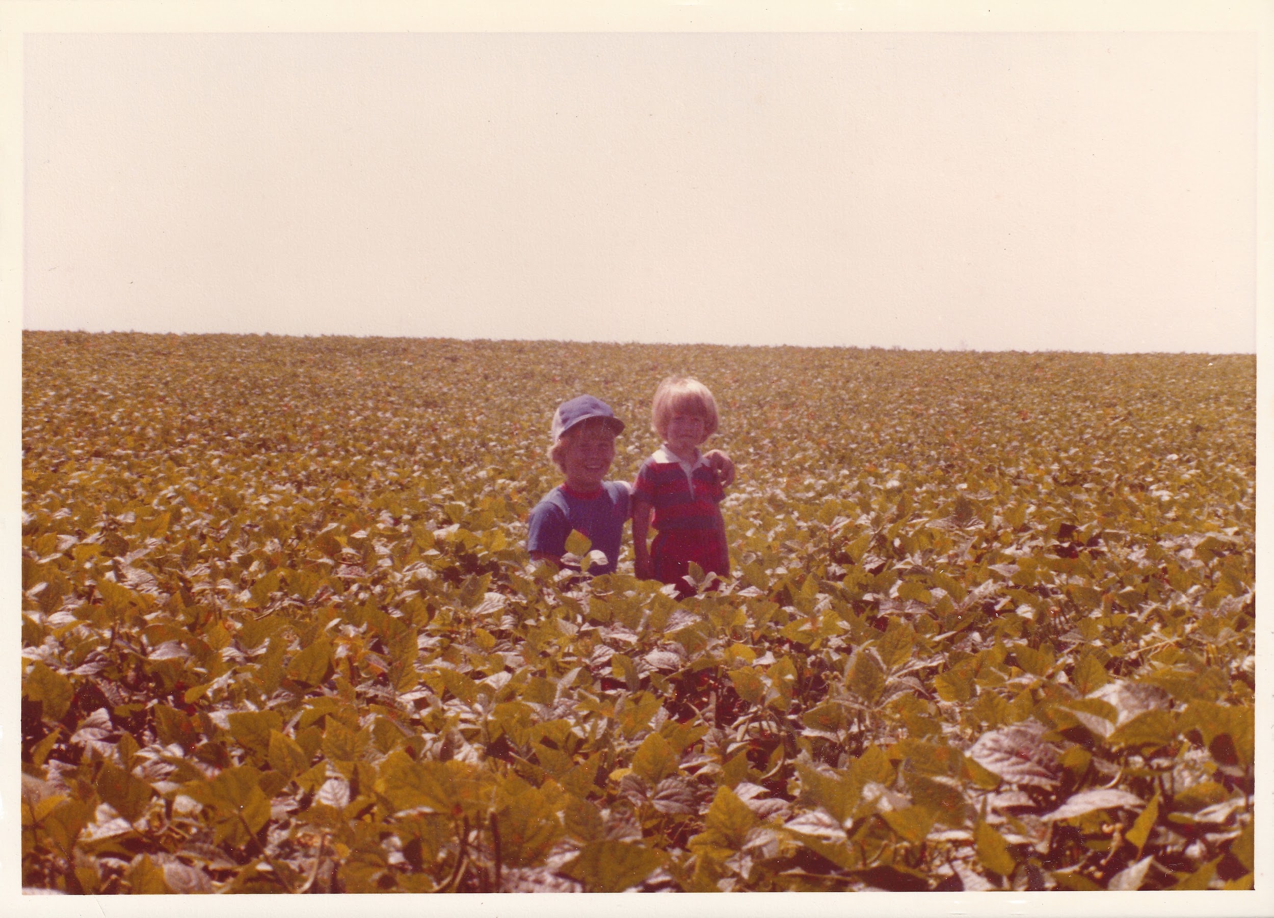 Children in the fields