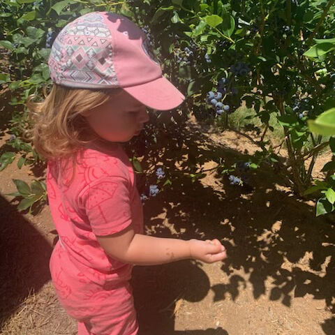 The Lewis family farm